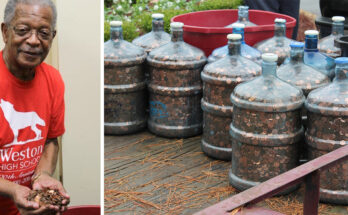 A Man Collected Pennies for 45 Years and the Amount of Money Left the Bank Speechless