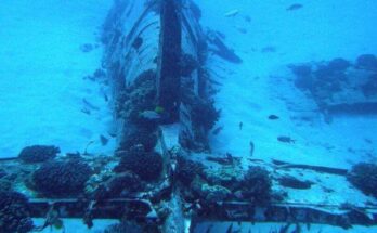 Mysterious plane found in the sea – Navy goes speechless when they look inside